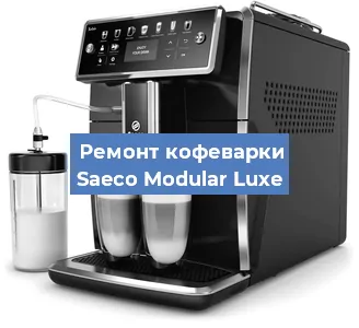 Чистка кофемашины Saeco Modular Luxe от накипи в Белгороде